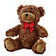 ECOM- Adorable Plush Bear