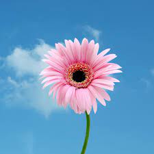 Test Product 262024