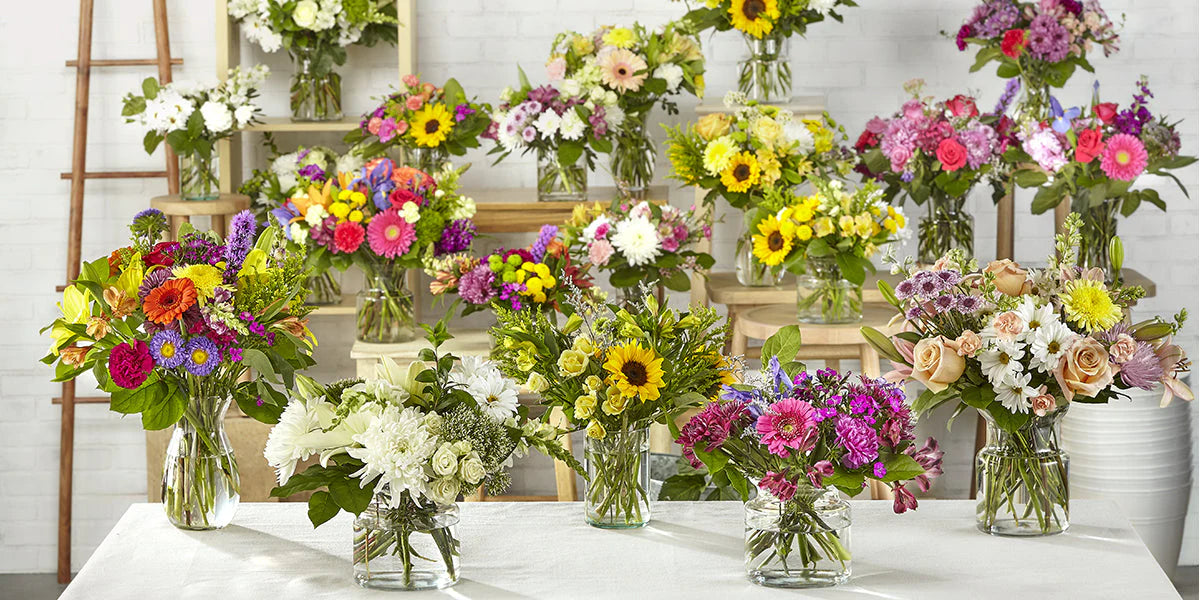 global13_Image_1752676175307.webp